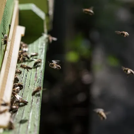 Theresienhof * Ledenitzen