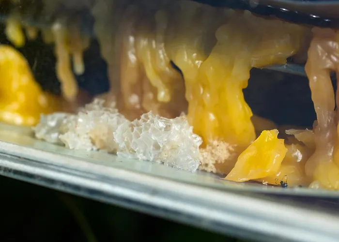 Lejlighed Theresienhof Ledenitzen