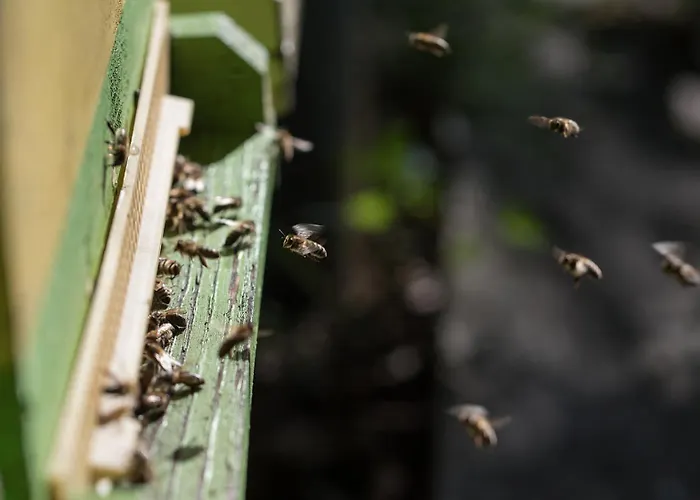 Theresienhof * Ledenitzen